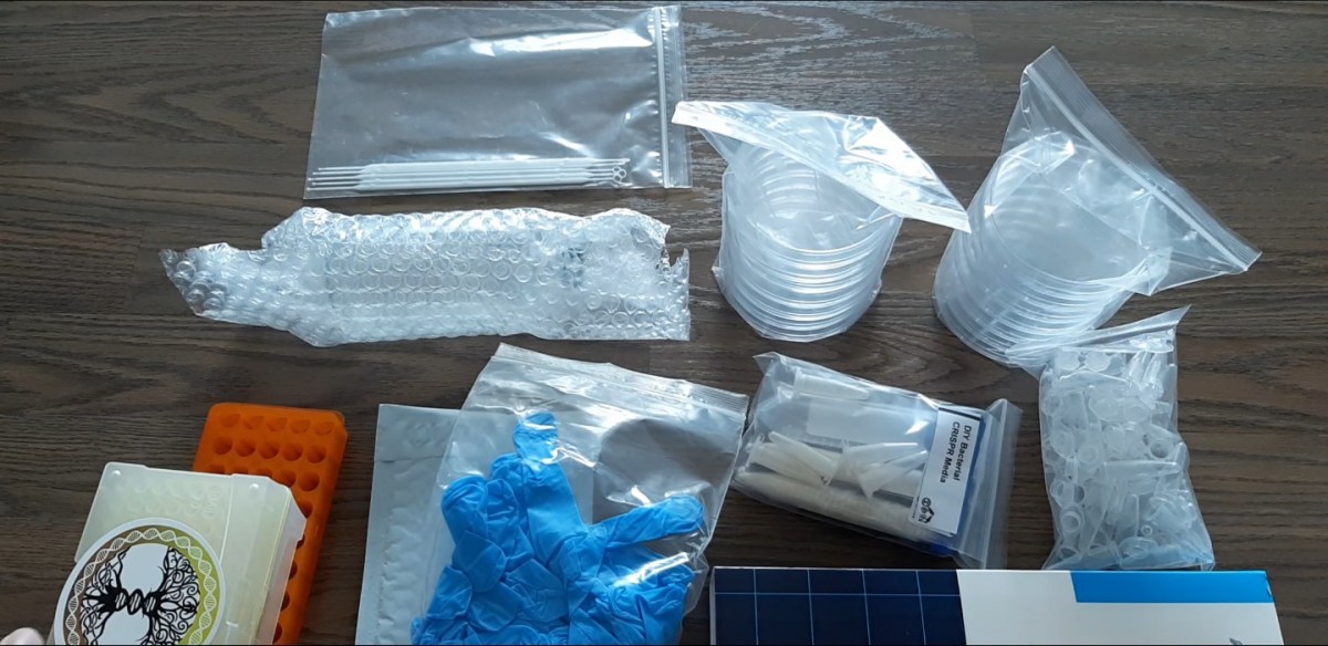 CRISPR Cas9 DAY 1! 크리스퍼 실험&nbsp;1일차!