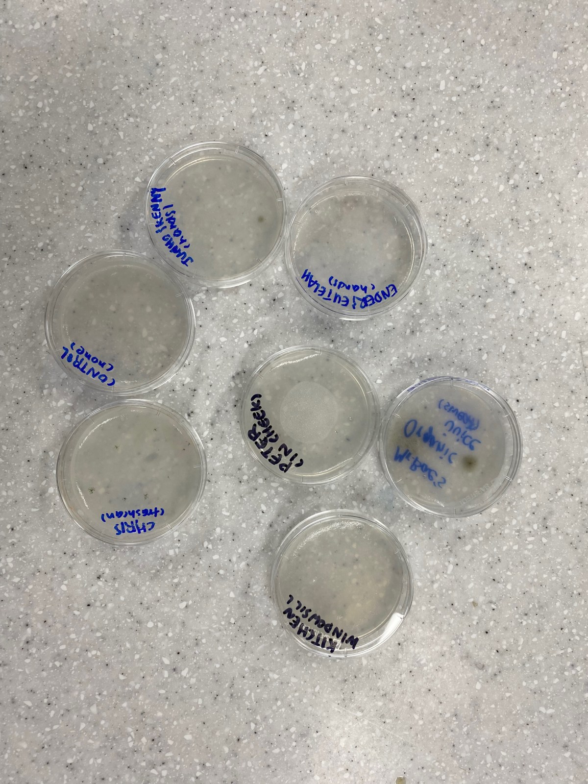 ES Summer Camp Day 13&nbsp;(6/29/22)